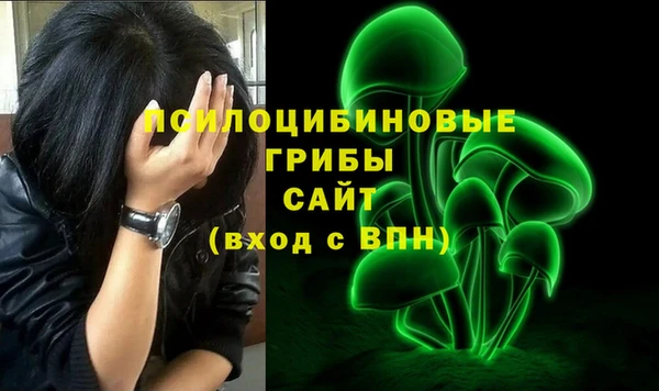 герыч Алексин