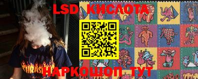 тгк Гусев