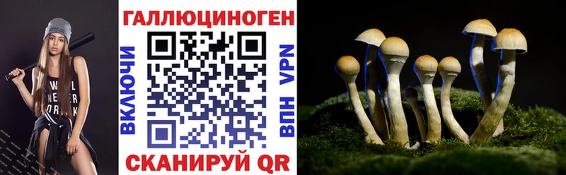Галлюциногенные грибы прущие грибы  Жуковский 
